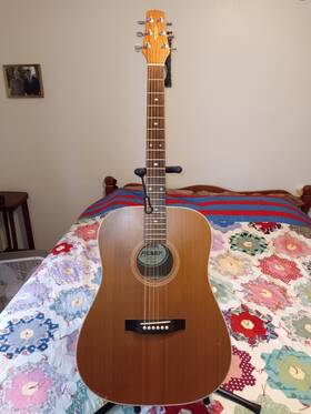 Peavey Sd-9 Acoustic Guitar Made By Landola In Finland