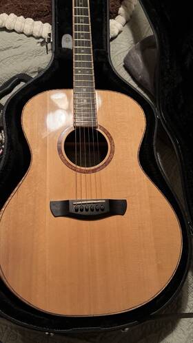 T-000 Peterson Acoustics Neil Acoustic Guitar Usa 2022 My Size With Case