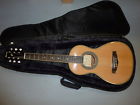 Pn-1 Ibanez Parlor Or Body