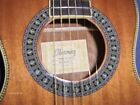 Pn1mh-nt 3u-0l Ibanez All Mahogany Parlor Guitar Model