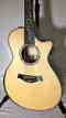 Ps12ce Concert Acoustic-electric Side Guitar Grand Cocobolo Taylor