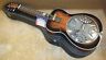 R15s Washburn Resonator Square Neck Guitar Slide Strings Pictures