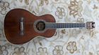 R319 Skww Washburn Parlor Guitar