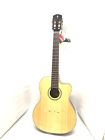 Rc26hce Alvarez 6165 Acoustic Guitar