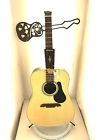 4976 Rd27 Alvarez Acoustic Guitar