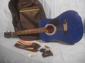 Jr14tbl Reynolds J Acoustic Guitar - With Gig Bag/case Strap And Other Extras