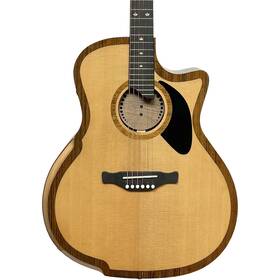 Riversong P2pga P2p-ga The River Pacific - Acoustic/electric Cutaway Guitar With Bag