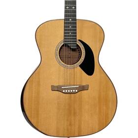 Riversong P555a P555-a Folker Acoustic Guitar