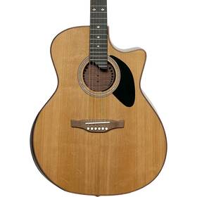 Riversong P555cea Dragon Slayer Grand Auditorium Acoustic Electric Guitar
