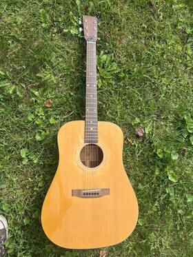 P-130 Roderick Paesold Acoustic Guitar