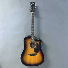 Ra110d-cesn Rogue Dreadnought Acoustic Guitar
