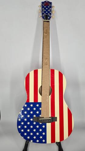 Rg-100-usa Rogue Flag Acoustic Guitar - American Edition New