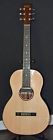 T-902 Rp-g6 Recording King Acoustic Guitar Skysonic Pickup