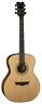 Sacesn Dean Guitars String Augustine Concert Solid Wood 814064024175