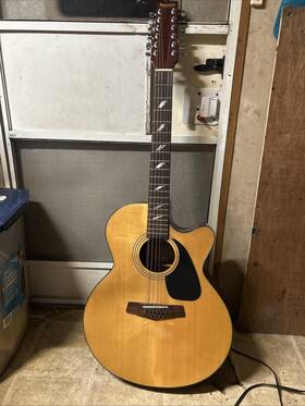 Sj-218ces-12 Samick Acoustic Electric 12 String Guitar