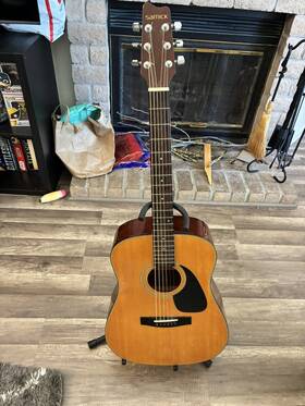 Sw210 Samick Musical Instruments Acoustic Guitar