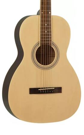 Savannah Spg-12-na Acoustic Guitar