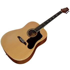 Sawtooth 850004858684 St-adn-wal Learn To Play Acoustic Guitar With Daddario Strings