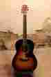 Sg-50 Gallagher Guitar Model Mahogany Sunburst