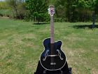 Short Mountain Lanslider Archtop Landslider