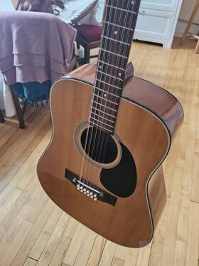 Dmi3 Sigma 12 String Acoustic Guitar And Case