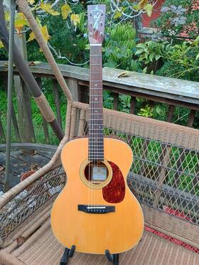 Sc-t160 Silver Creek Guitar Low Action Plays Great Rough Cosmetically