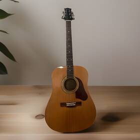 150302570 Silvertone Pro Series Model Sd-10 Acoustic Guitar Inch Super Glossy Finish
