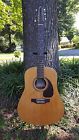 Sm12 Seagull Spruce Acoustic Guitar