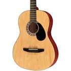 So-069-rag-na Rogue Starter Acoustic Guitar Matte Natural 840246029966