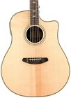 Stgconc Breedlove Stage Dreadnought Acoustic-electric 875934007445