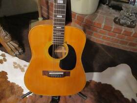Wt-200 Suzuki And Co. Model 12 String Acustic Guitar With Strap