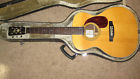 T-170 Silver Creek Acoustic Guitar