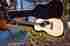 T-oo14 Huss Dalton New And Custom Italian Spruce Over Zizicote