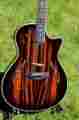T5-c2 Taylor Custom Guitar Special Macassar Ebony Top Beautiful Mint
