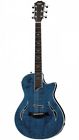 T5z-pb Taylor T5z Pro Guitar