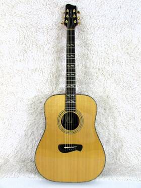 Dr55 Tacoma Acoustic Guitar