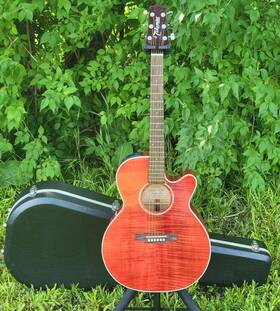 440c-stry Takamine G-series Eg 6-string Acoustic/electric Guiter With Hard Case