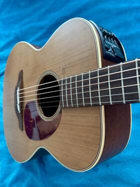 Takamine Ean70 Acoustic Guitar With Ct-4b Ii Preamp Hsc