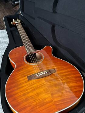 Ed444c-vv Takamine G Series Used But In Mint Condition. Gator Case Included