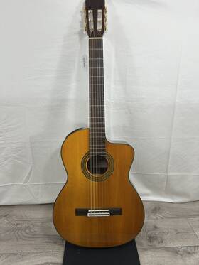 Eg128c Takamine Acoustic Guitar W Gator Hard Case