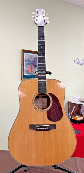 G536shb Takamine Dreadnought Acoustic Guitar Nat With Fitted Hard Case And Extras