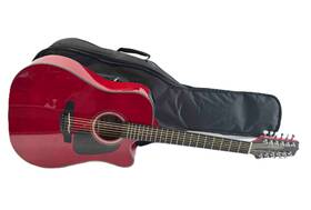 Gd30ce-12wr Takamine Right Hand 12-string Acoustic-electric Guitar