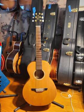 T-bone2 Takamine Acoustic Guitar