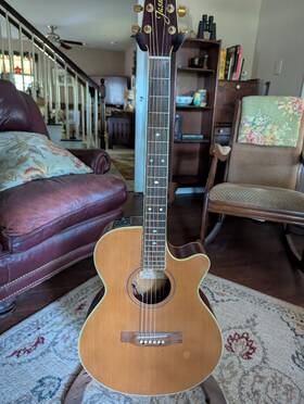 Ts97c Takamine Jasmine Guitar