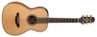 Takcp3nyk Takamine Cp3nyk Acoustic Guitar 799493256949