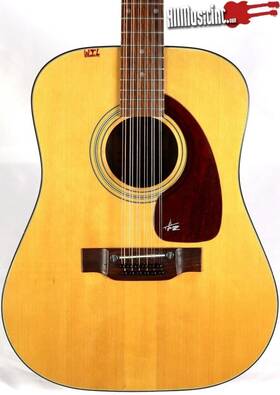 Wk-100 Takeharu 1977 12-string Acoustic Guitar With Case