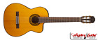 Takgc1celhnat Takamine Gc1ce Lh Nat 799493251197