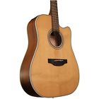 Takgd20cens Takamine Gd20 Natural Satin 799493251401