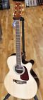 Takgn71cenat Takamine Gn71ce Nat Acoustic 799493251975