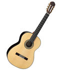Takh8ss Takamine H8ss Acoustic Guitar 799493250527
